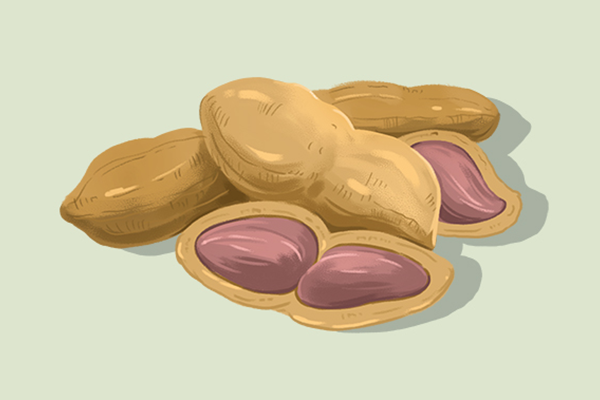 经常吃花生对血管有害还是有益 经常吃花生对血管有害还是有益呢